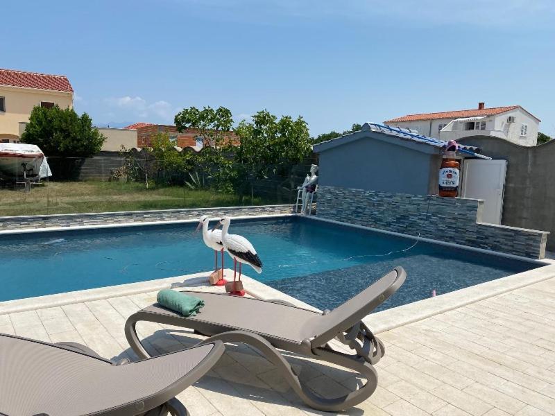 Croliday Apartment With Pool Nin Vrsi Buitenkant foto
